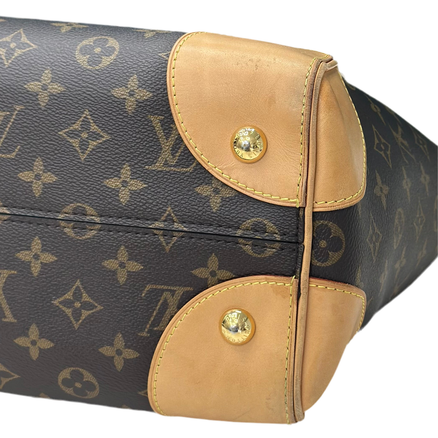 BORSA LOUIS VUITTON PHENIX