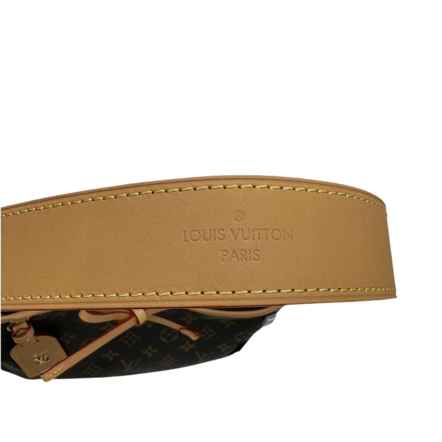 LOUIS VUITTON CARRYALL PM