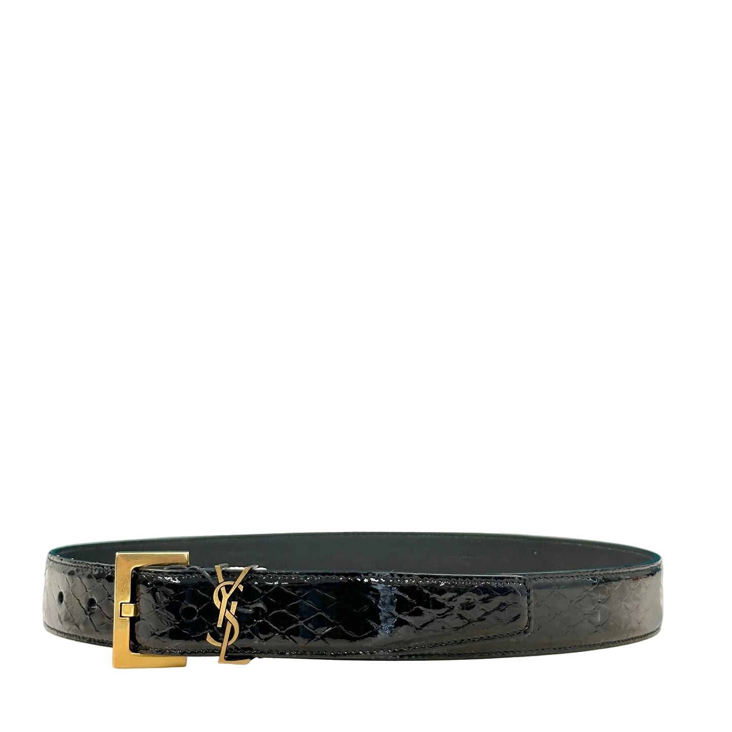 CINTURA SAINT LAURENT STAMPA PITONE