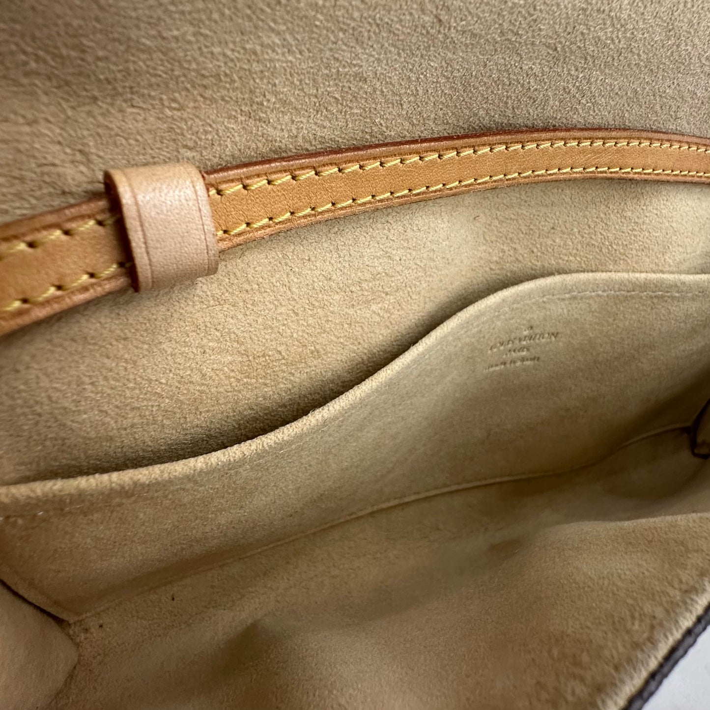 LOUIS VUITTON POCHETTE TWIN GM