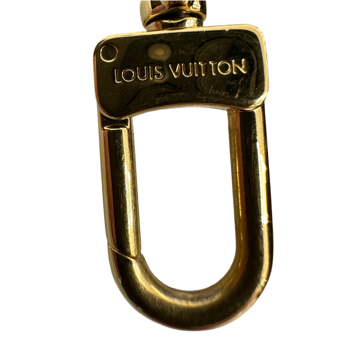 Tracolla Louis Vuitton