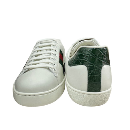 Sneakers Gucci Ace fascia Web