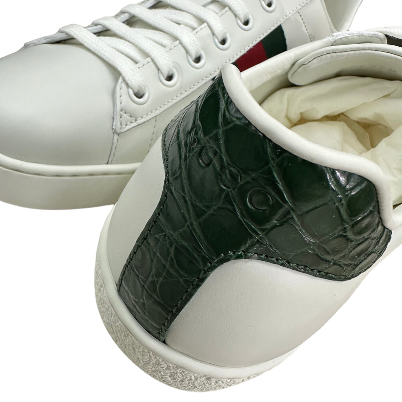 Sneakers Gucci Ace fascia Web